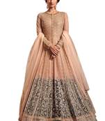 Beige embroidered glass tissue salwar