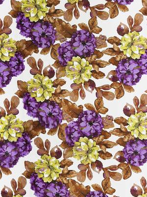Printed Room Darkening Multi Window Curtain 4