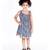 Navy Blue Pancham Dress