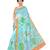 Blue printed organza saree with blouse