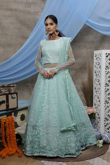 Light-green thread embroidery net Lehenga Style gown