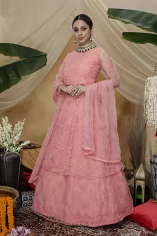 Pink thread embroidery net Lahenga Style Gown