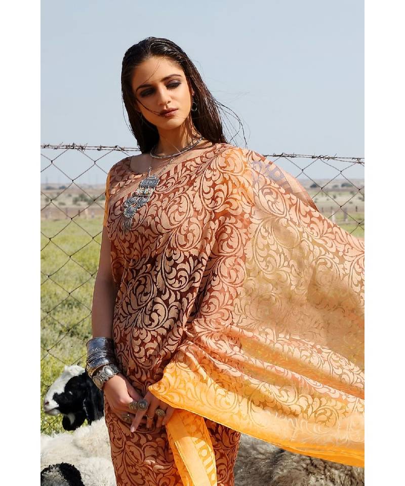 Brown Brasso Embroidered Saree