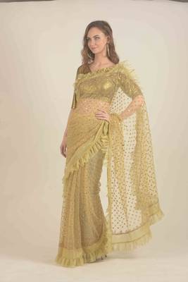  Golden net saree  2