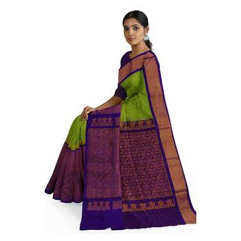 Light green hand woven andhra pradesh handloom saree with blouse 2