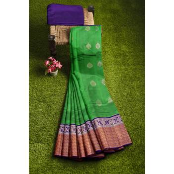 Green hand woven andhra pradesh handloom saree with blouse 4