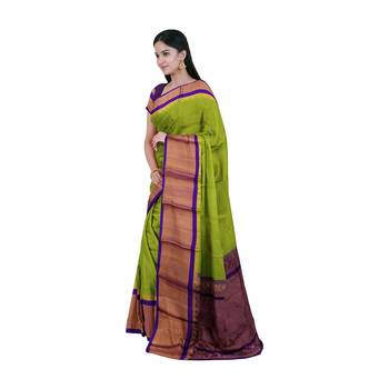 Light green hand woven andhra pradesh handloom saree with blouse 2