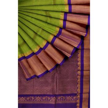 Light green hand woven andhra pradesh handloom saree with blouse 4