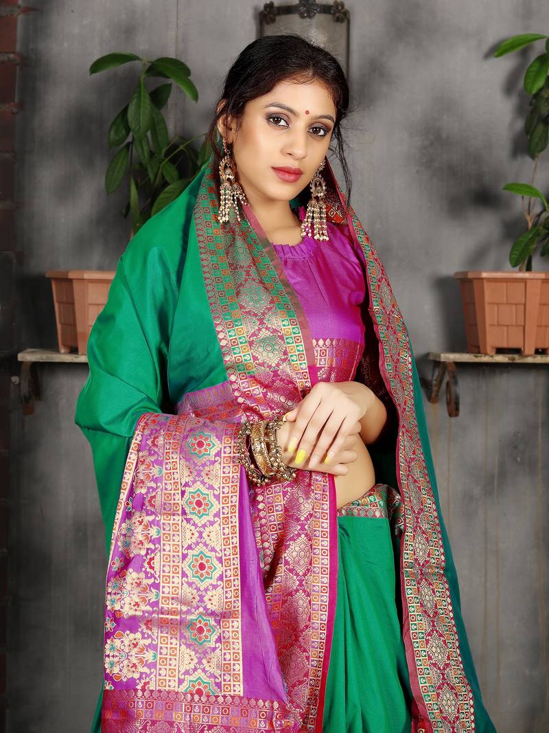 plain banarasi saree with border