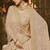 Light-brown embroidered georgette Semi Stitched Bridal Lehenga