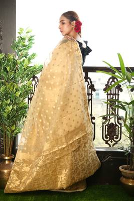 Beige woven blended cotton saree with blouse 2