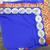 Nargis Fakri Blue Fancy Designer saree with blouse