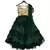 Beige Choli with Enbrel Green Organza Lehenga