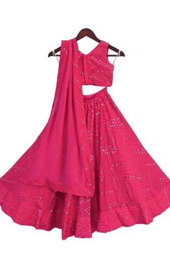Pink Embroidery Choli with Lehenga