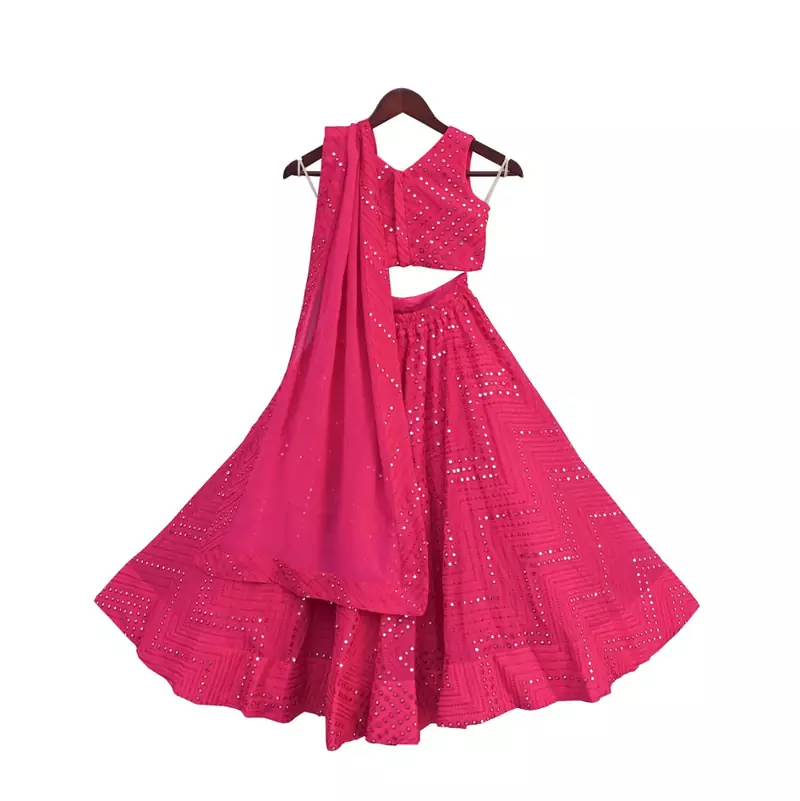 Pink Embroidery Choli with Lehenga