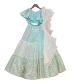 Blue embroidered Dupion Silk lehenga