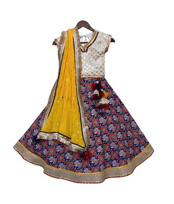 White Embroidery Choli with Blue Printed Lehenga 2