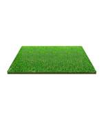 FAVONTM High Density Artificial Grass Carpet (25mm)(24 X 18 inches)