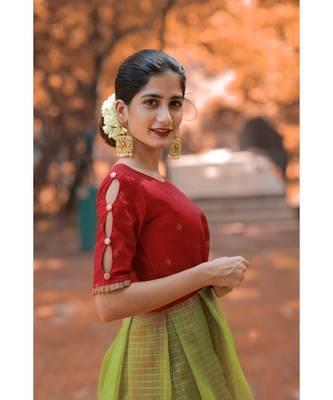 Red Dupion Silk Cotton  Fit and Flare Dress 5