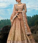 Gold Net Bridal Lehengas