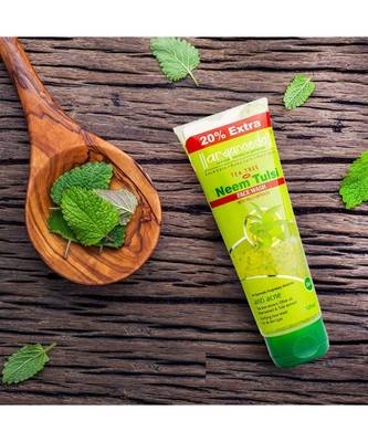 Aryanveda Tea Tree Face Wash Neem Tulsi 120ml (Pack of 2) 2