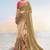 Chiku embroidered fancy fabric saree with blouse