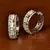 Rhodium Plated American Diamond and Parrot Stone Embellished Designer Hoops 216ED377
