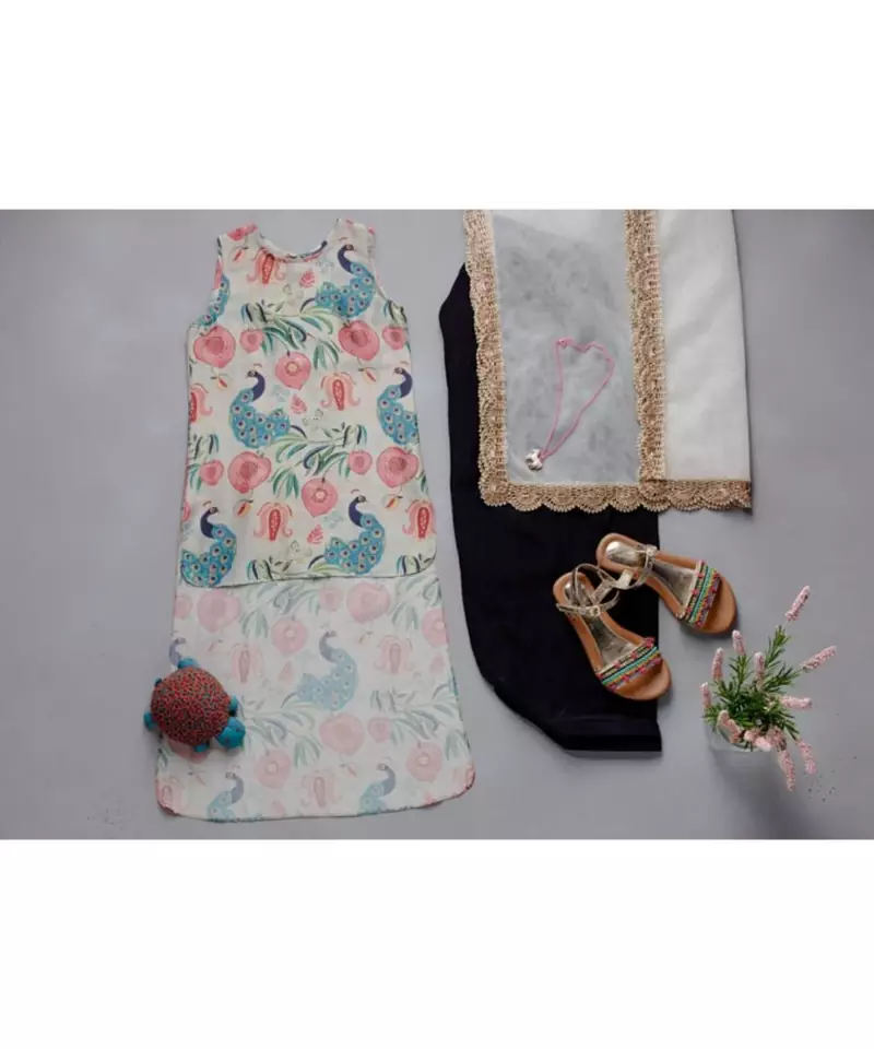 Khaki Anaar Aur Mor Print Kurta Set