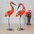 Handicrafts Parsadise Painted Swan set Handmade Decorative gift item Showpiece in Iron -20 inch