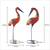 Handicrafts Parsadise Painted Swan set Handmade Decorative gift item Showpiece in Iron -20 inch