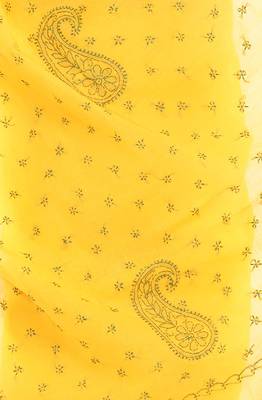 Lavangi Yellow Lucknow Chikankari Green Thread Hand Embroidered Keel Work Cotton Saree with Blouse 4