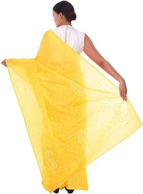 Lavangi Yellow Lucknow Chikankari Hand Embroidered Keel Work Cotton Saree with Blouse 3