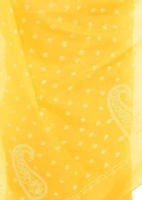 Lavangi Yellow Lucknow Chikankari Hand Embroidered Keel Work Cotton Saree with Blouse 4