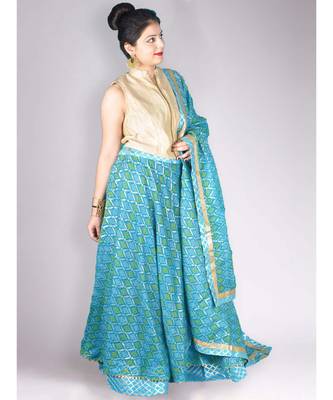 Blue Kota Doria Lehenga Dupatta and Choli Set With Gota Work 2