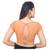 Copper Lycra High Neck Short Net Sleeves Stretchable Readymade Saree Blouse