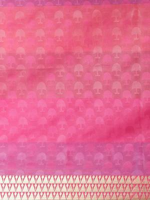 CLASSICATE from the house of The Chennai Silks  Women's Multicolor Silk Cotton Saree With Blouse 3
