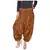 Cotton Printed Aladin harem Pant