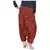 Cotton Printed Aladin harem Pant