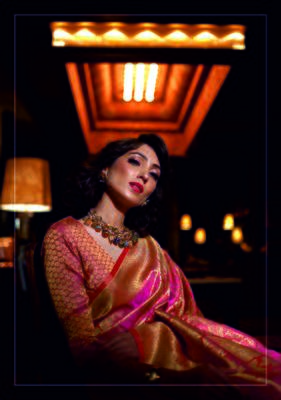 Aurima Nylon Silk Embroidered Saree For 2