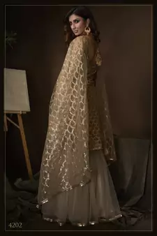 Beige Net Sharara Suit Sequin Embroidery