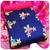 Navy-blue banarasi banarasi salwar