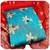 Light-blue banarasi banarasi salwar