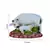 Polyresin Colorful Cow and Calf Statue