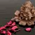 Metal Lord Ganesha on Flower - Brown