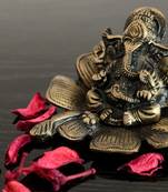 Metal Lord Ganesha on Flower