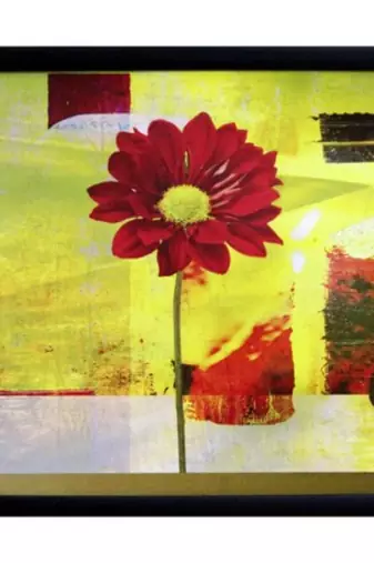 Red Sunflower Design Satin Matt Texture Framed UV Art Print