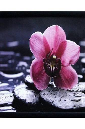 Beautiful Pink Flower Satin Matt Texture Framed UV Art Print