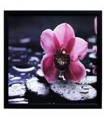 Beautiful Pink Flower Satin Matt Texture Framed UV Art Print