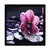 Beautiful Pink Flower Satin Matt Texture Framed UV Art Print