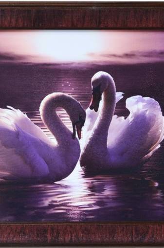 2 Swans Design Satin Matt Texture Framed UV Art Print